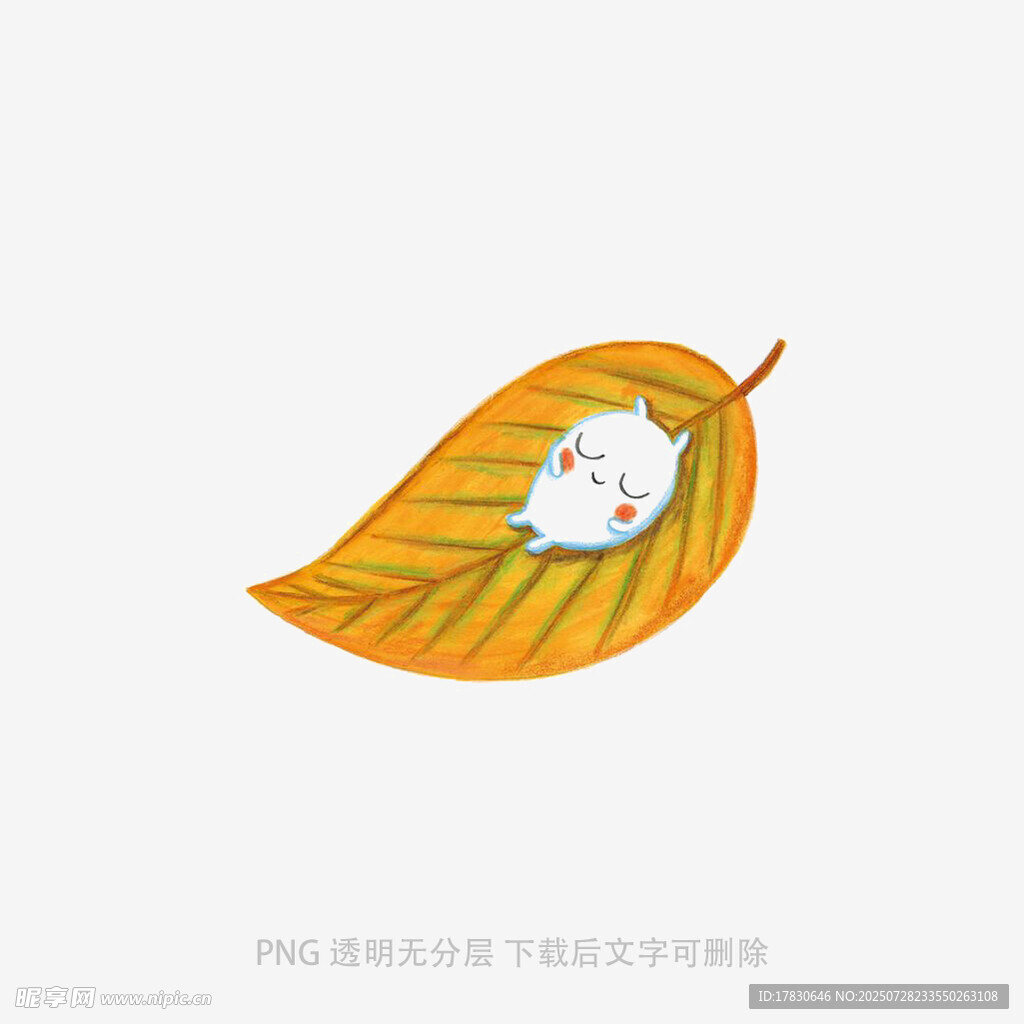 叶上萌宠小猫