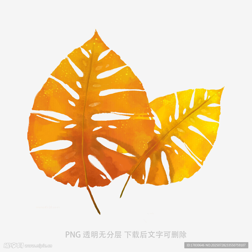 水彩风格秋叶插画
