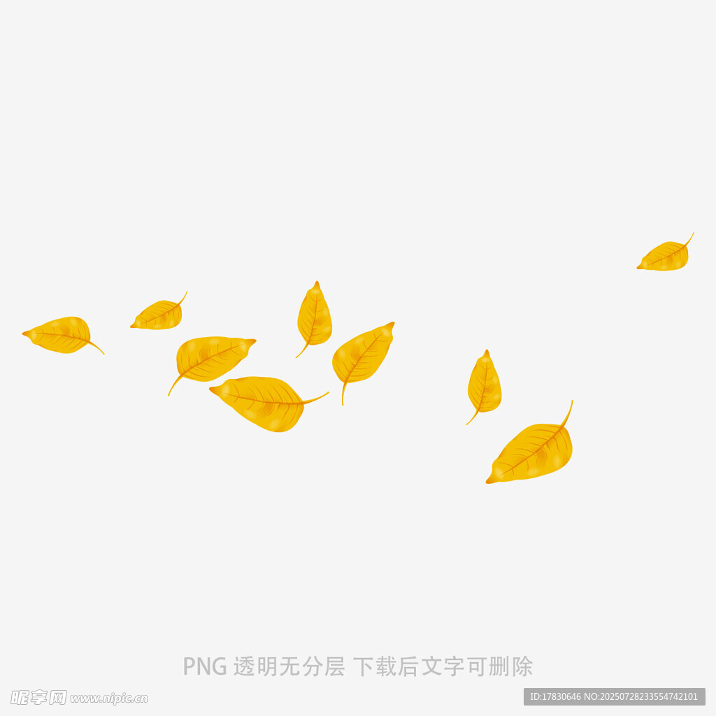 飘落的金黄树叶