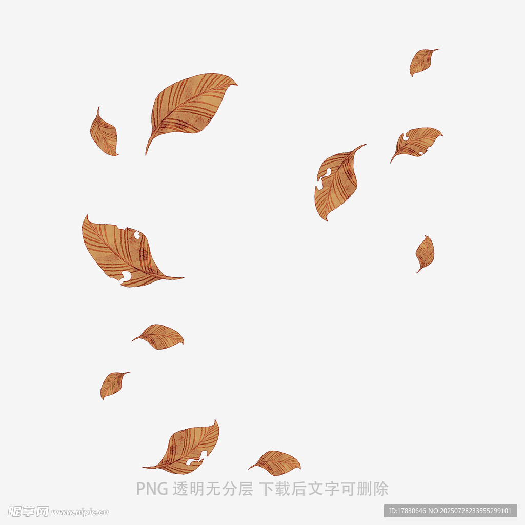 飘落的枯叶