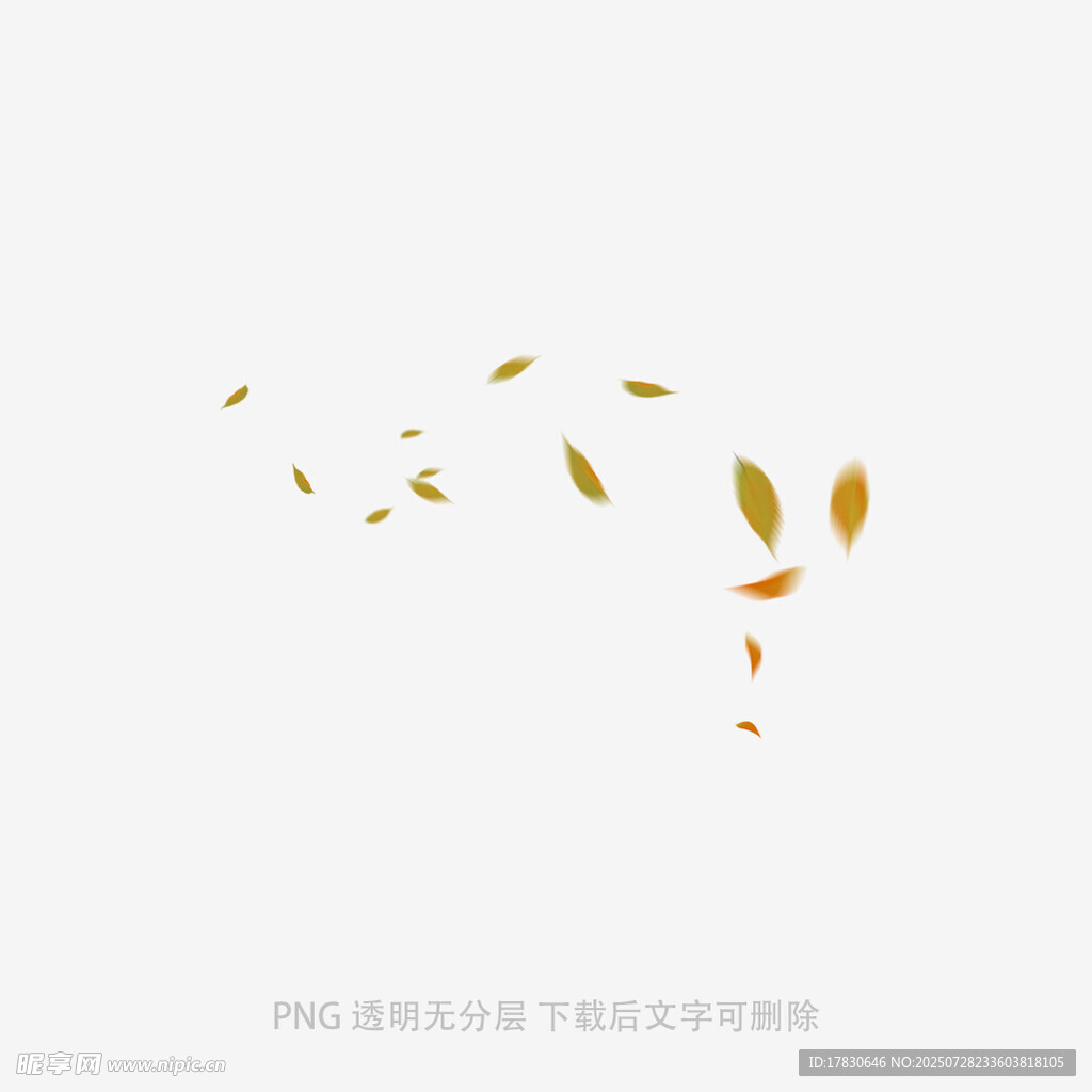 飘落的金色树叶