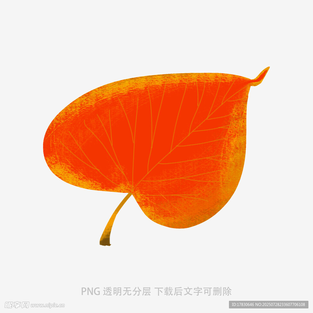 橙红色心形叶片插画