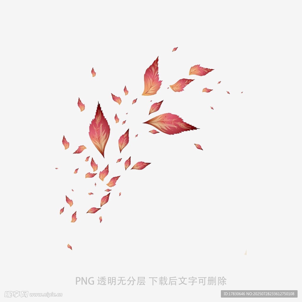 飘落的红色秋叶