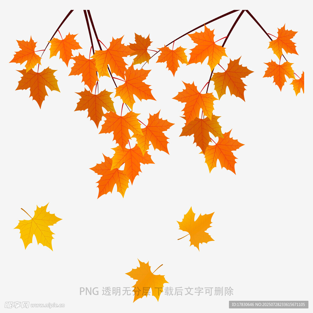 落叶