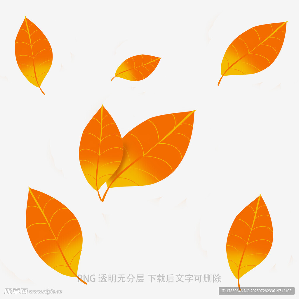 飘落的橙黄色秋叶