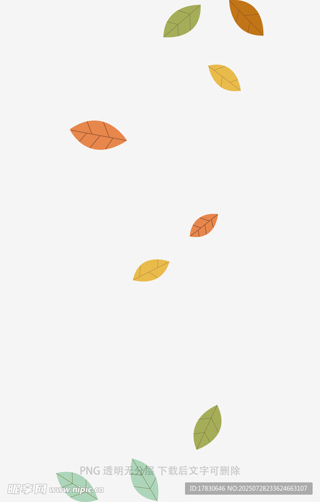 飘落的多彩树叶