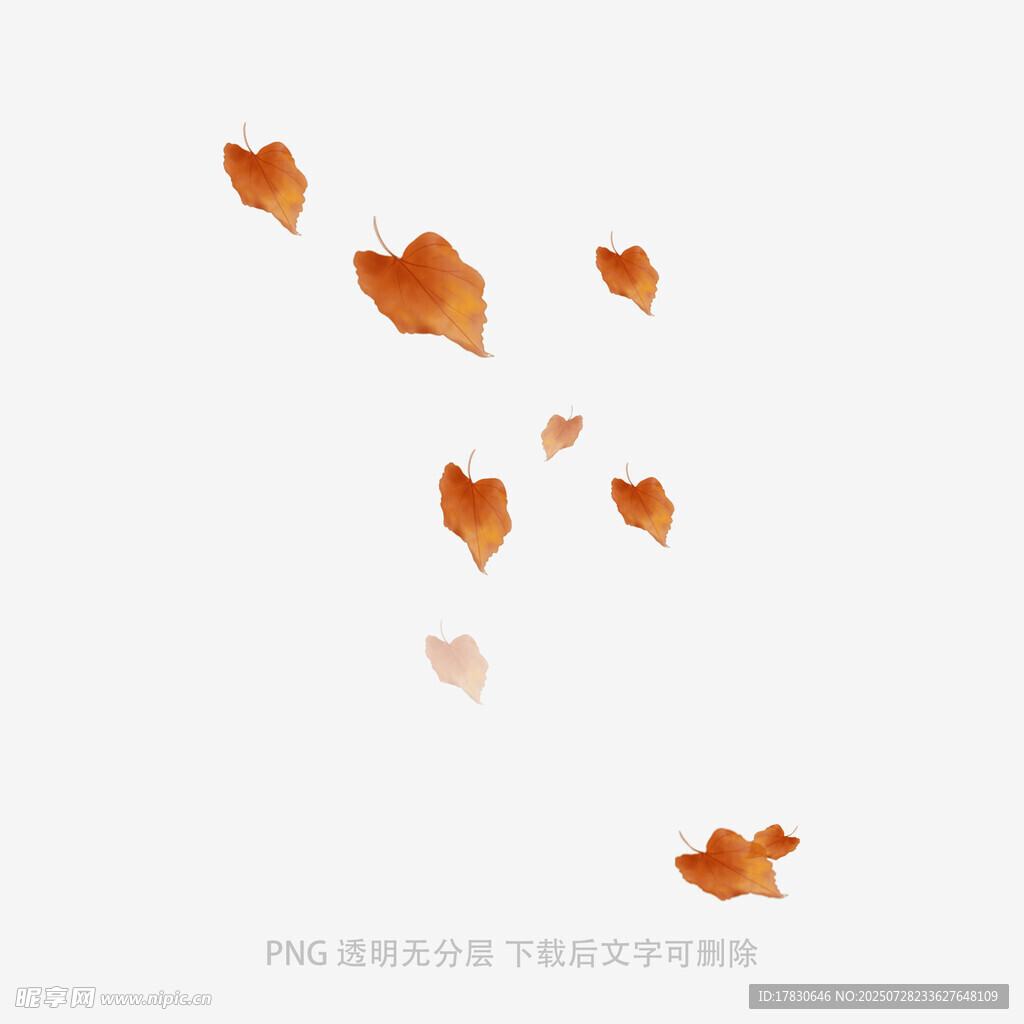 飘落的秋叶