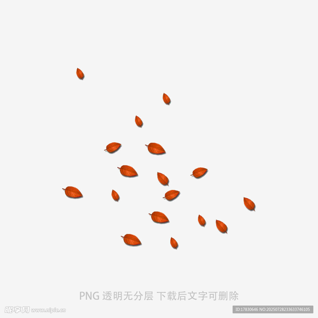 散落的红色瓜子
