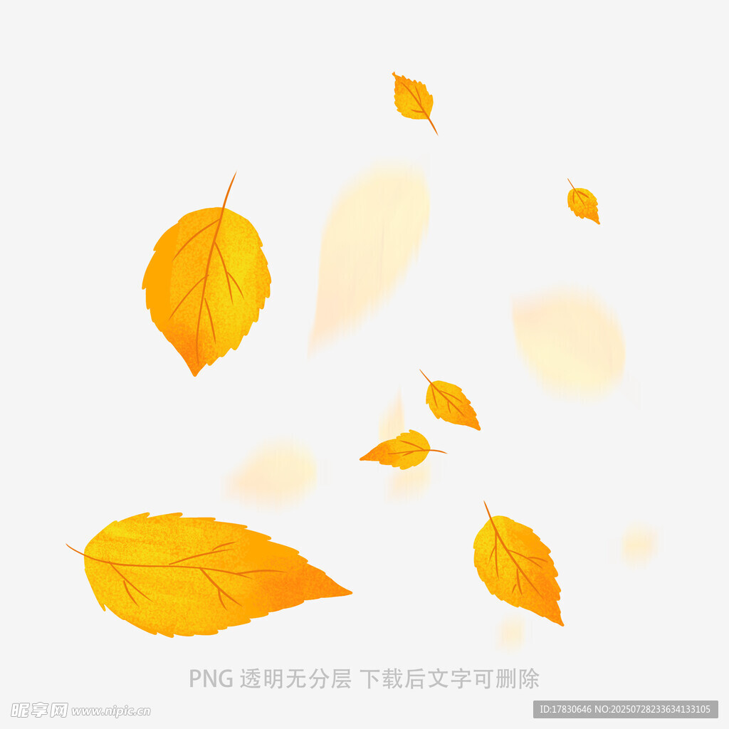 飘落的金黄秋叶