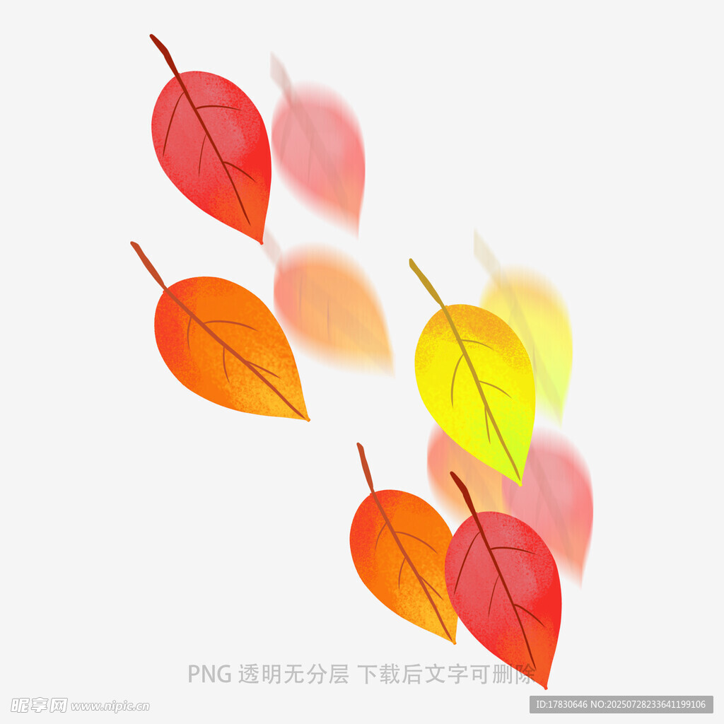 飘落的多彩秋叶