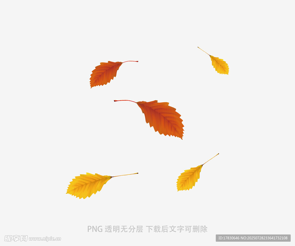 落叶