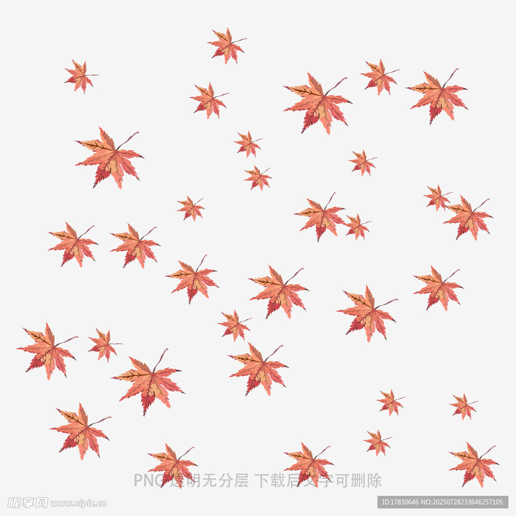 飘落的红色枫叶背景图