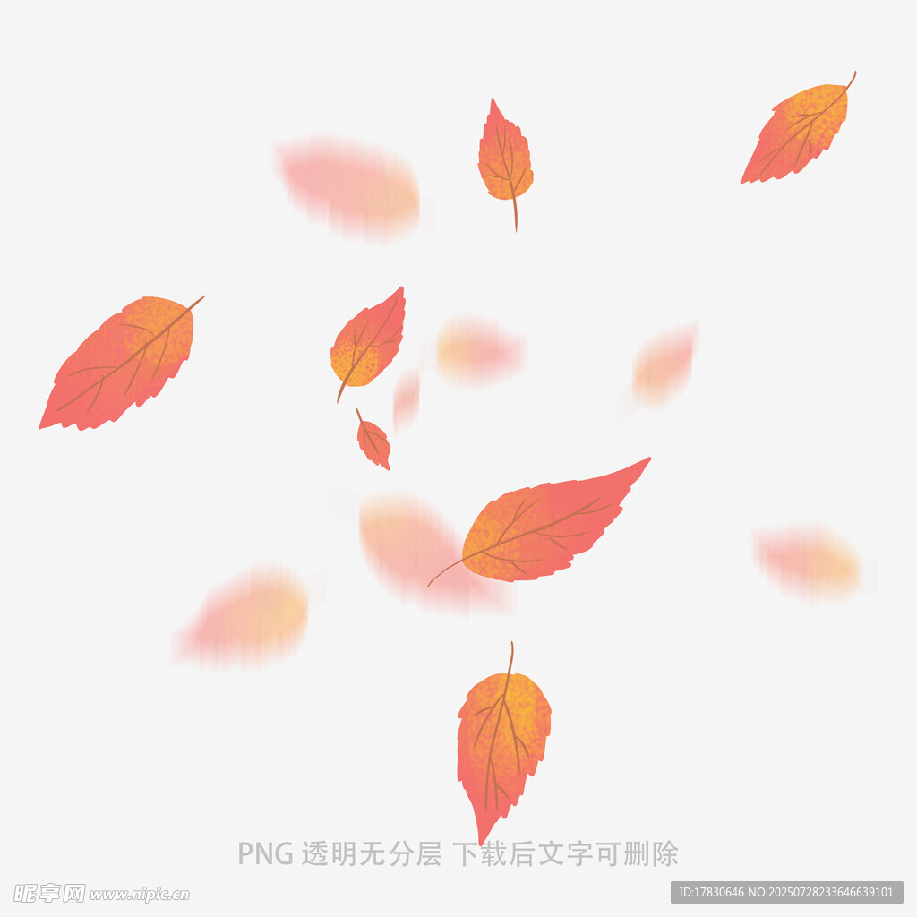 飘落的多彩秋叶