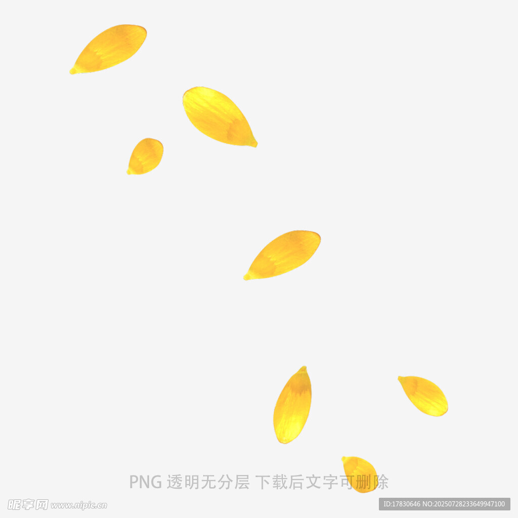 飘落的金黄树叶