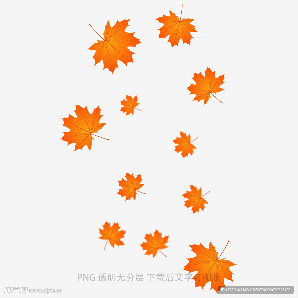 飘落的橙色枫叶