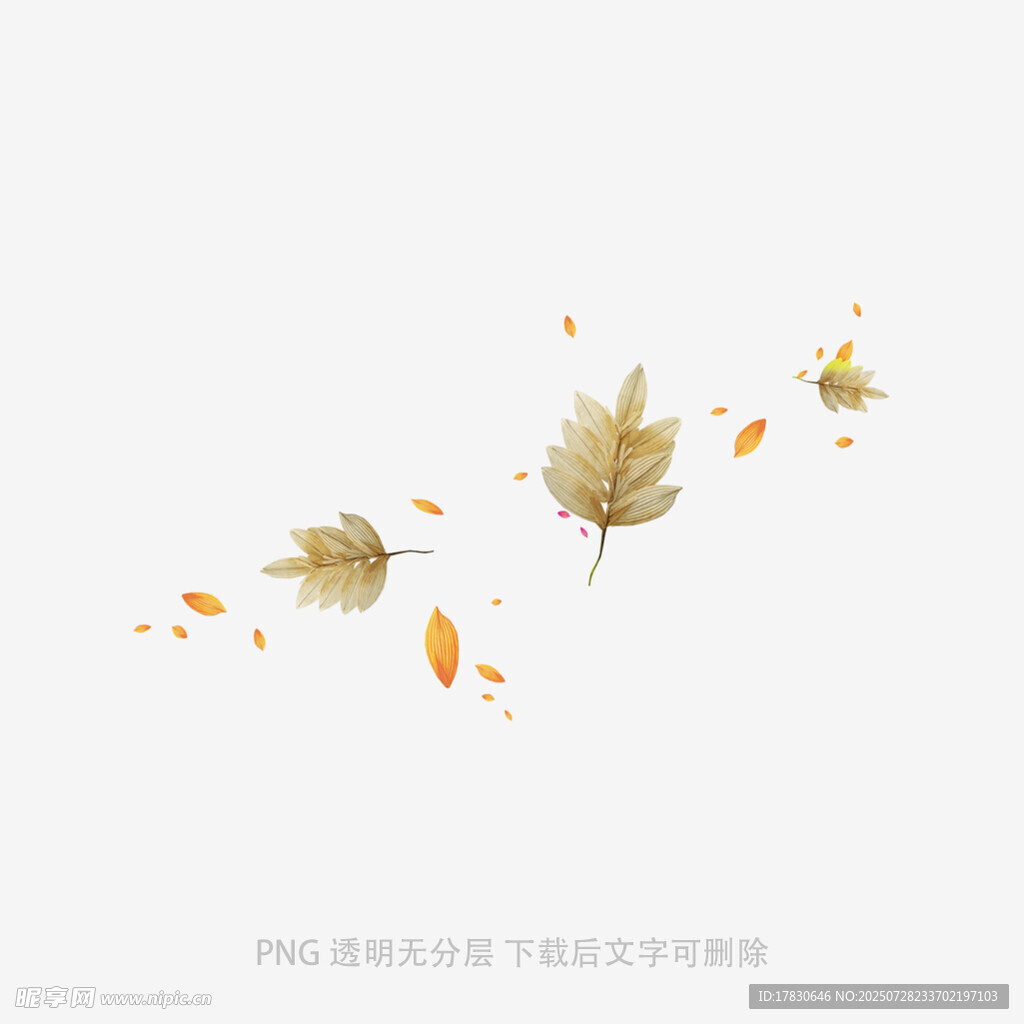 飘落的金黄秋叶