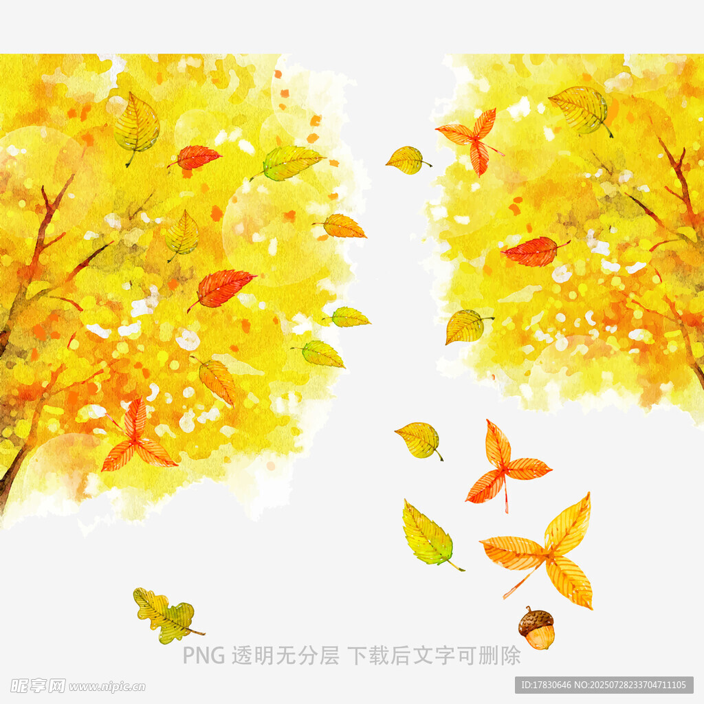 秋日金黄树叶飘落美景