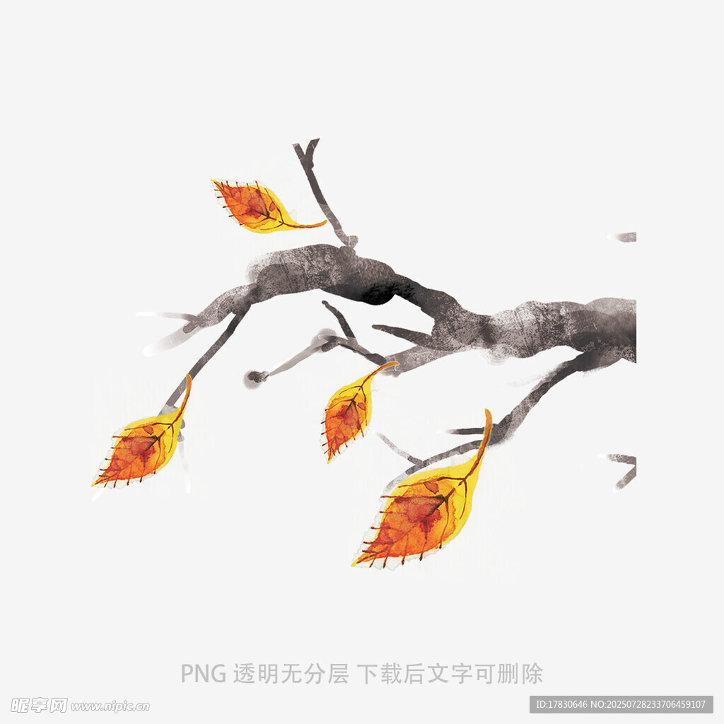 落叶