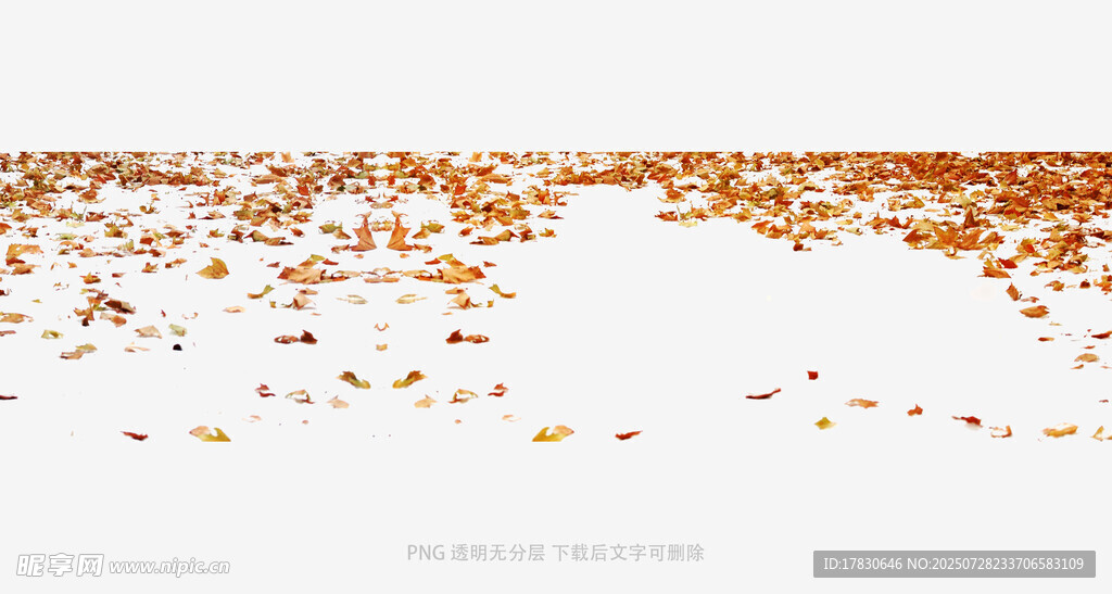 飘落的橙色花瓣
