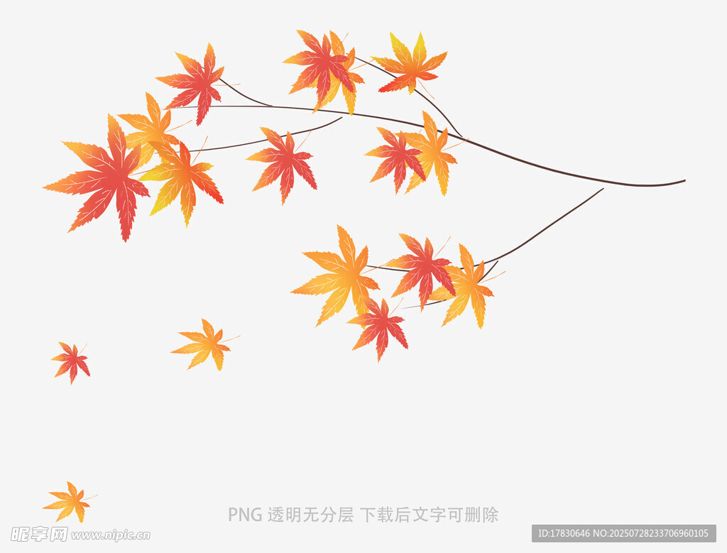 落叶