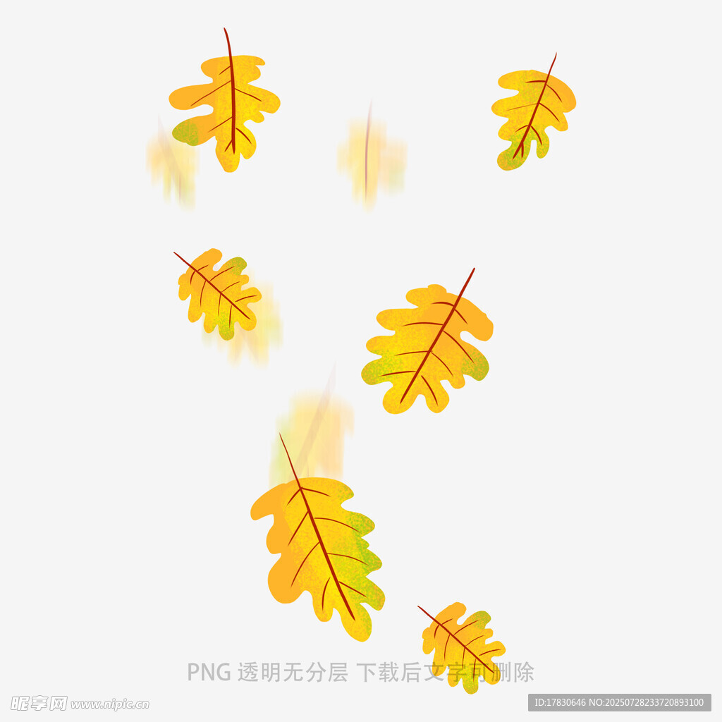 飘落的金黄秋叶