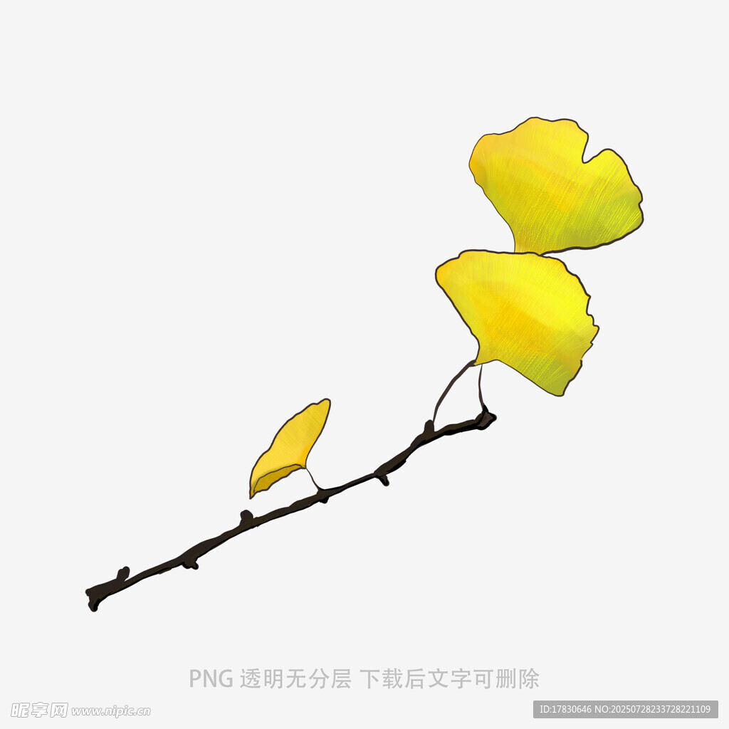 落叶