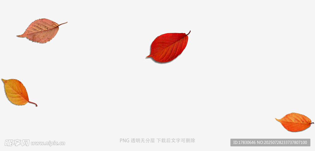 落叶