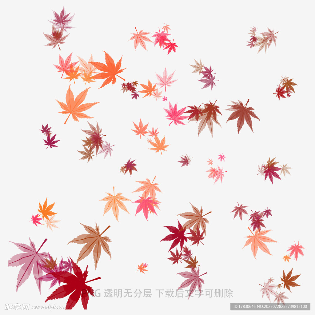 飘落的多彩枫叶
