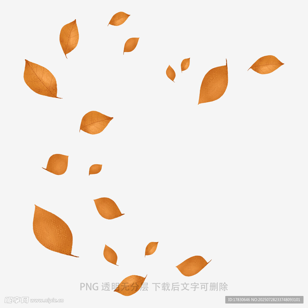 飘落的橙色树叶