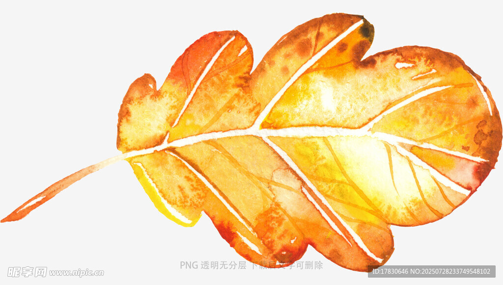 金色秋叶插画