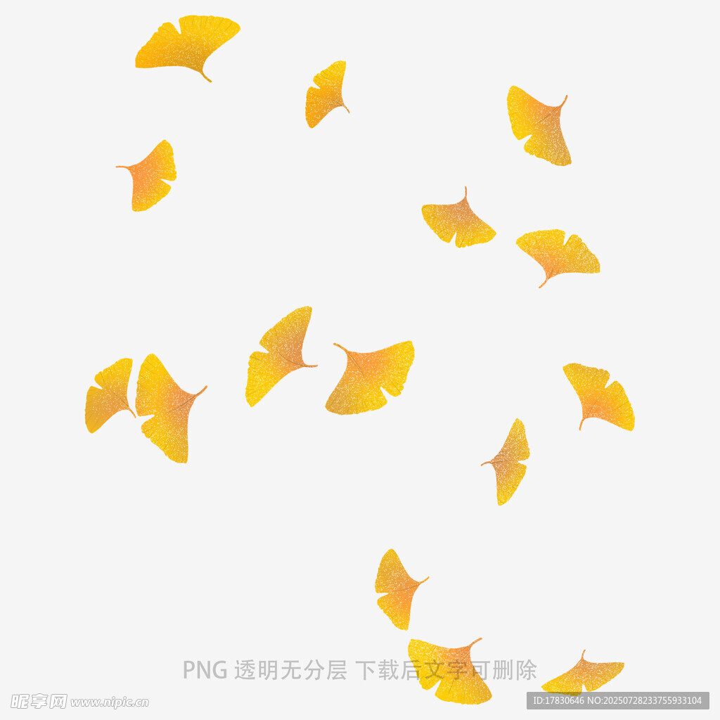 飘落的金黄银杏叶