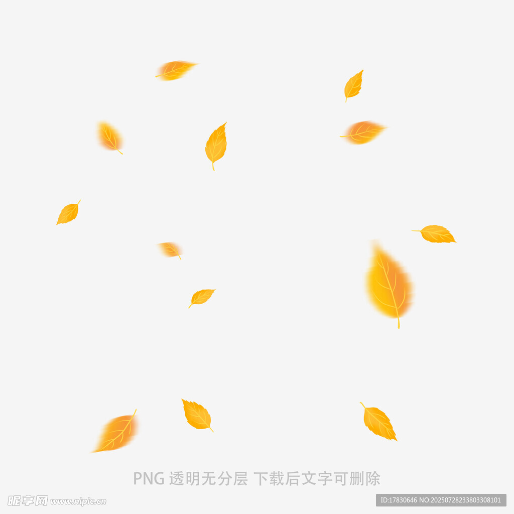 飘落的金黄树叶