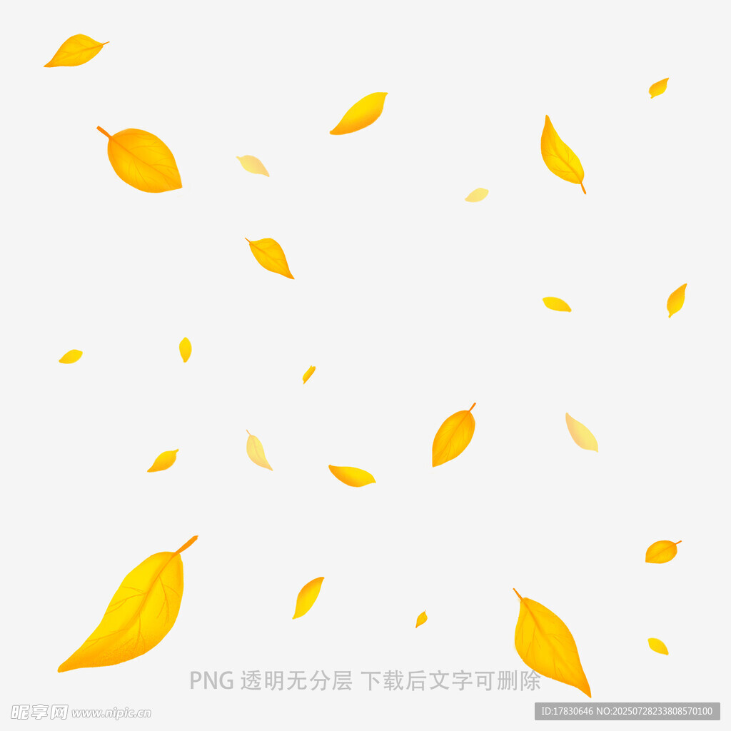 飘落的金黄秋叶