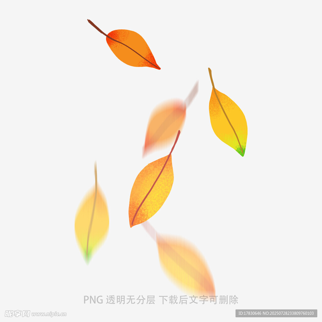 飘落的多彩秋叶