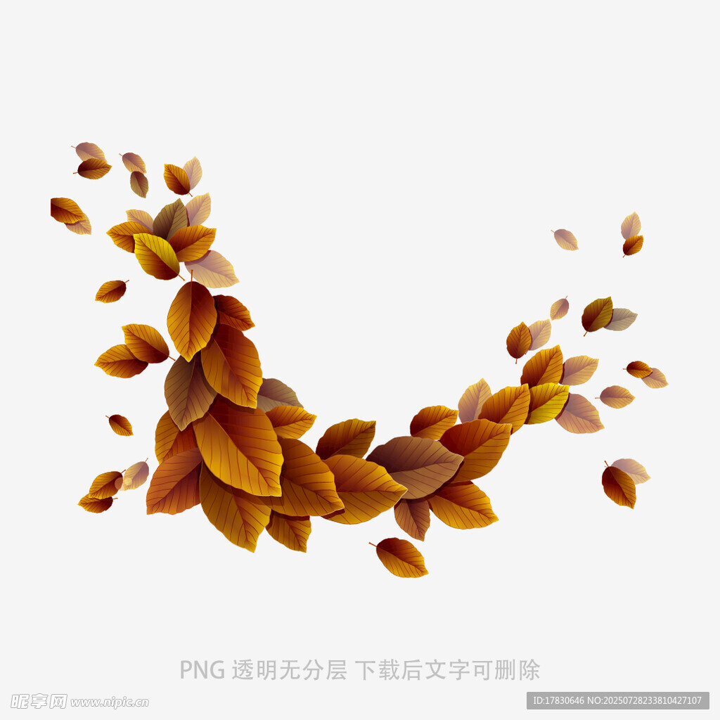 飞舞的棕黄色落叶