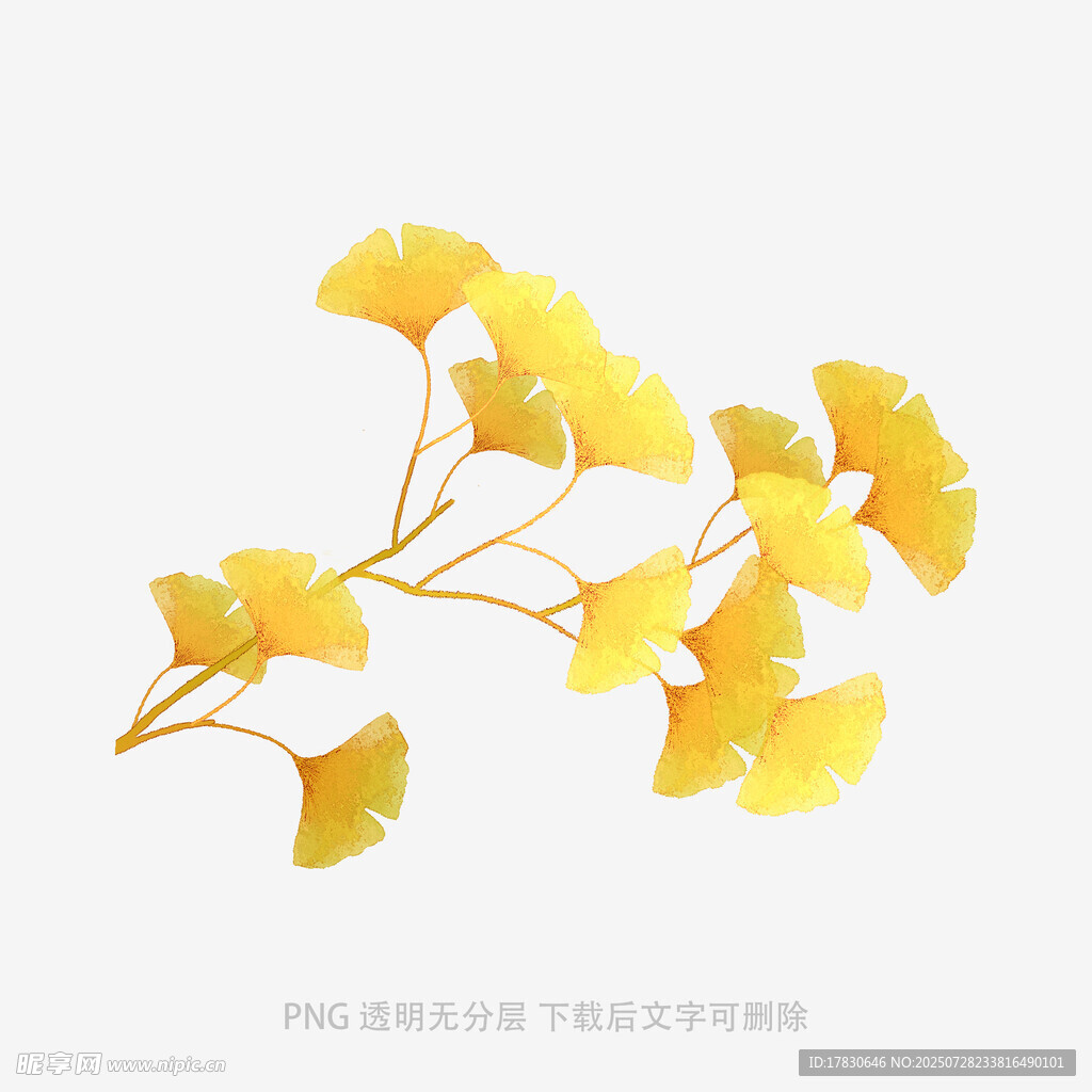 落叶