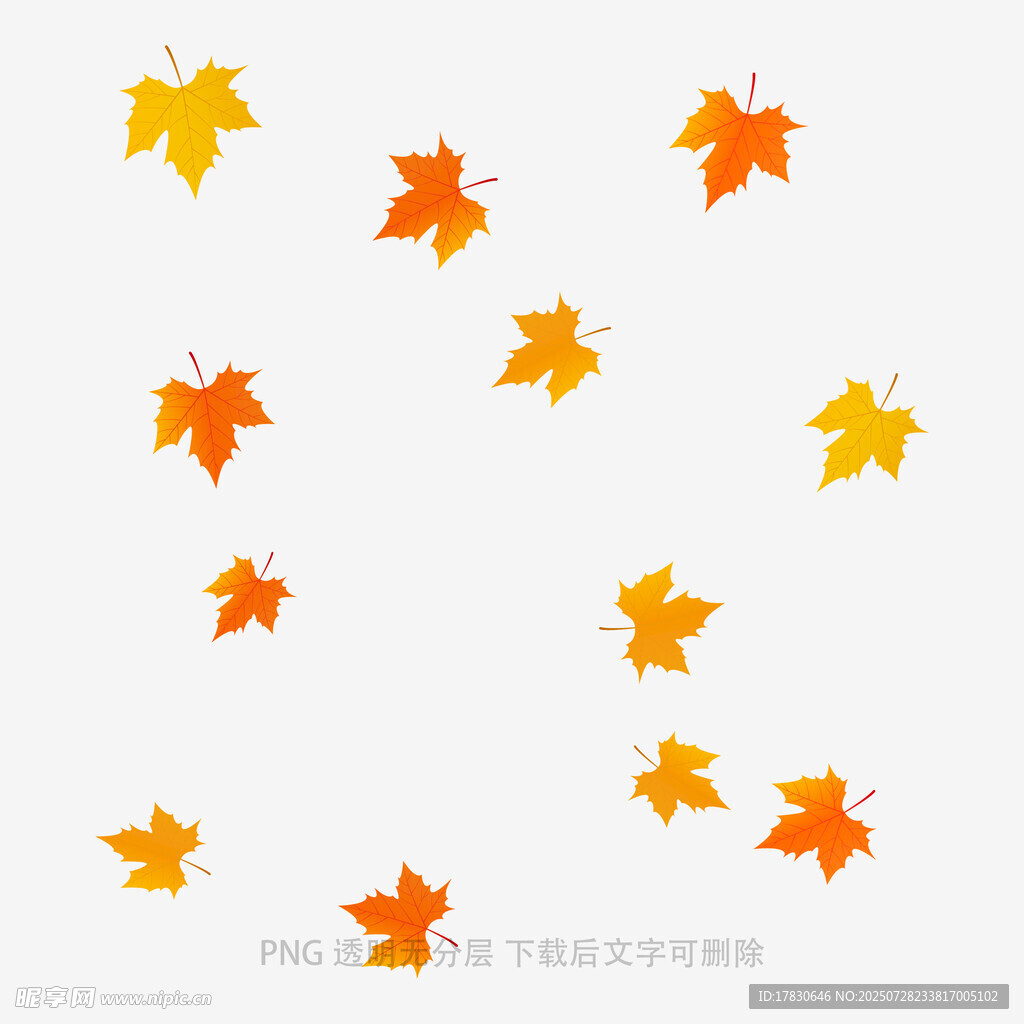 秋季枫叶图案背景