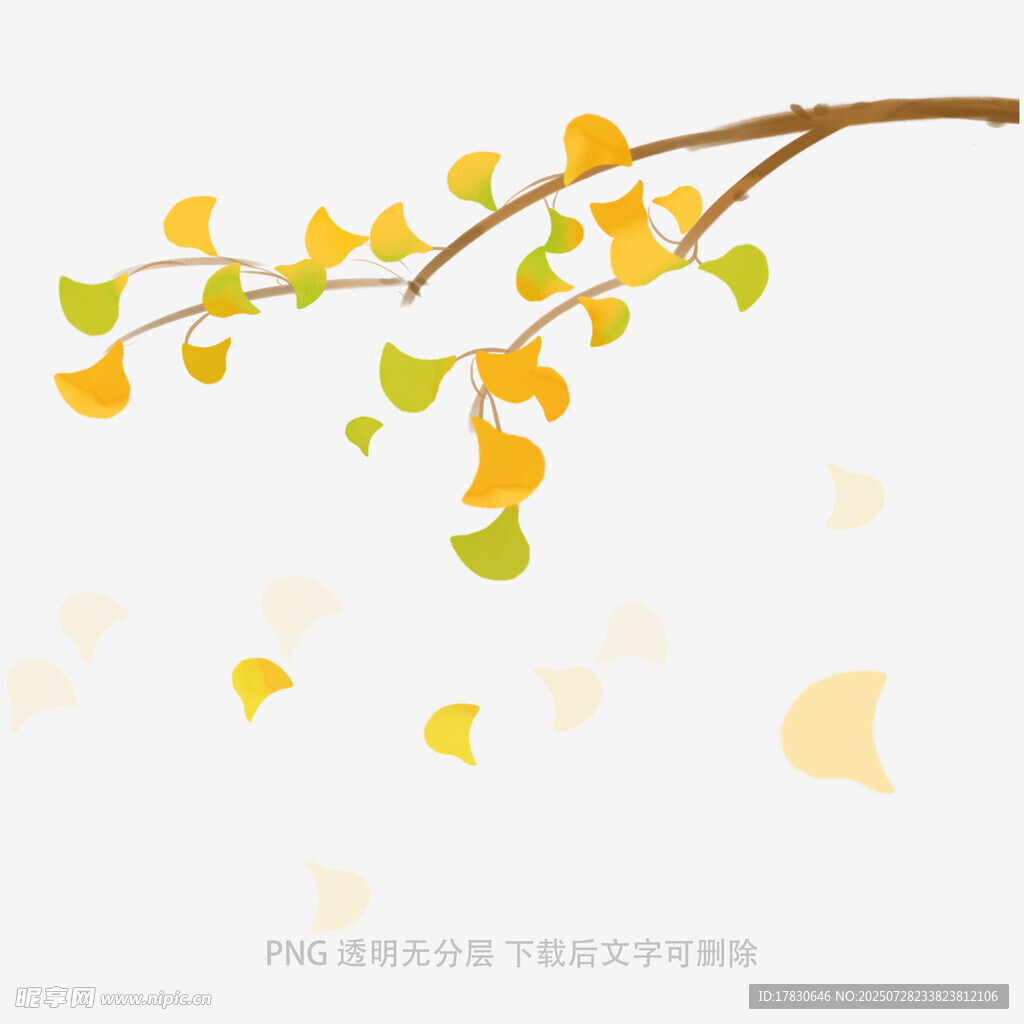 落叶