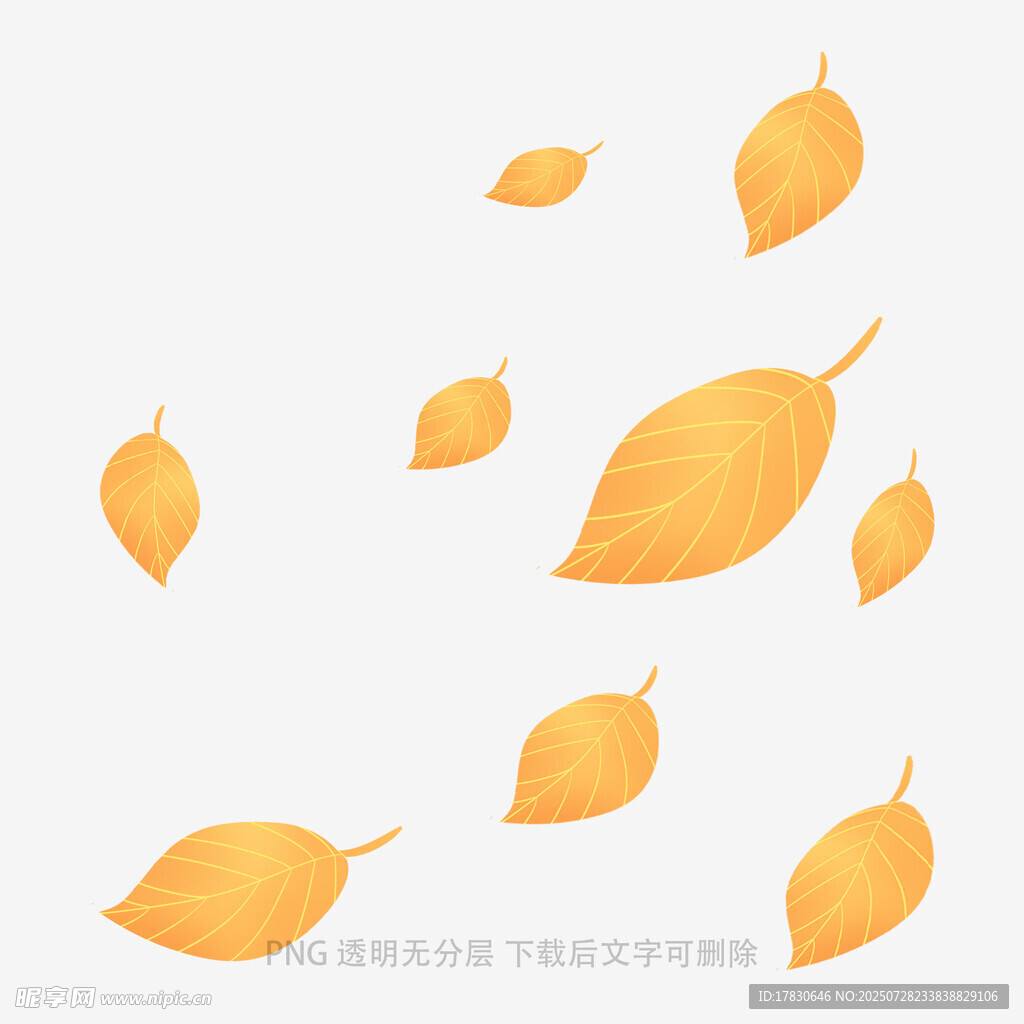 飘落的金黄树叶