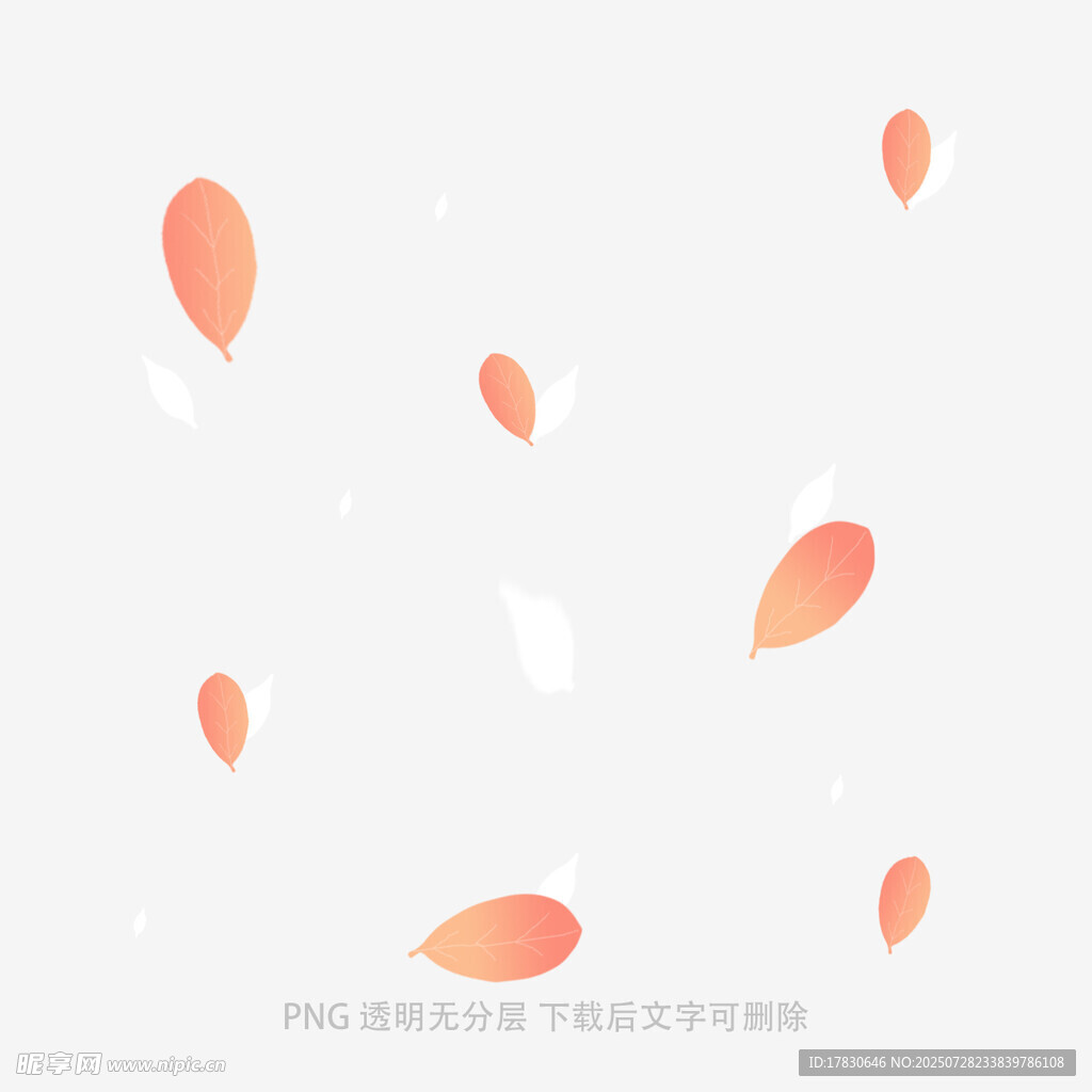 飘落的橙色花瓣背景图