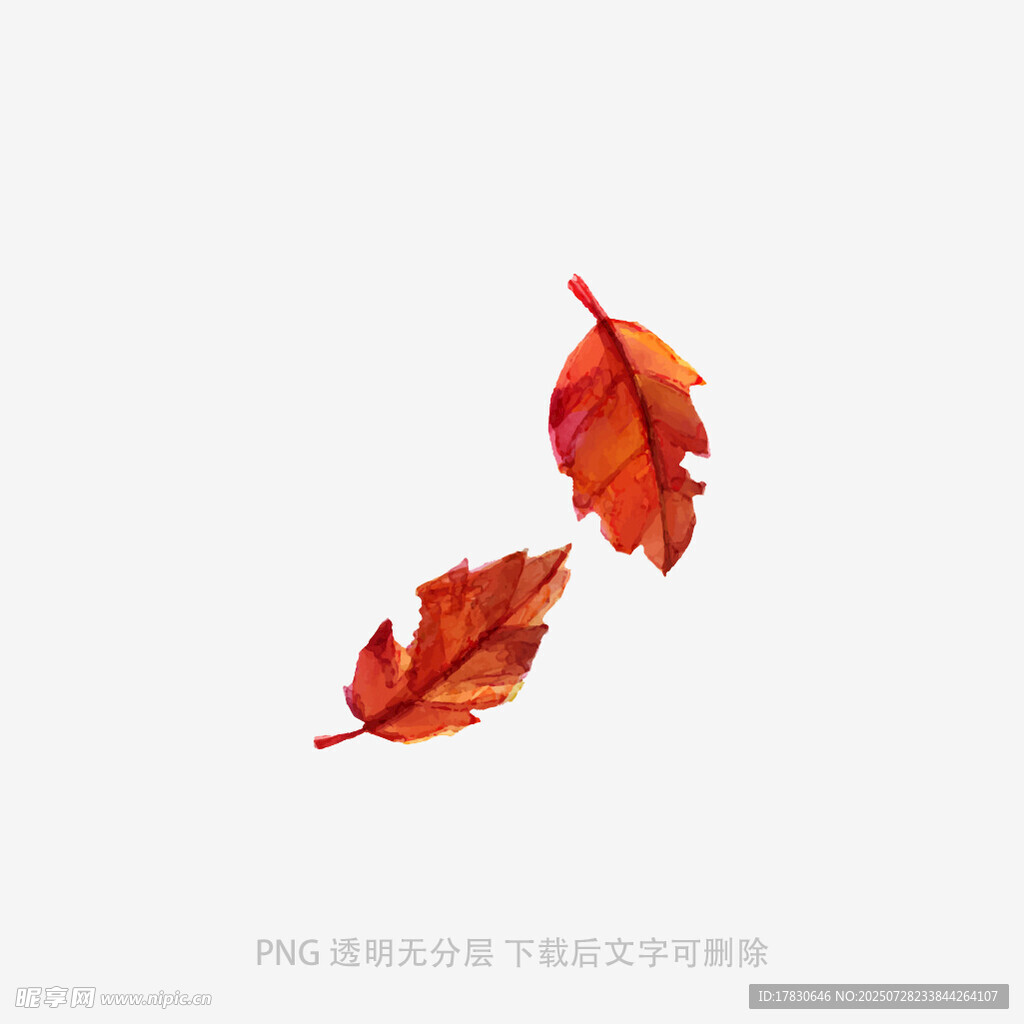 两片红叶飘落