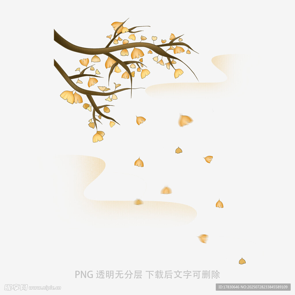 枝头繁花飘落的唯美瞬间