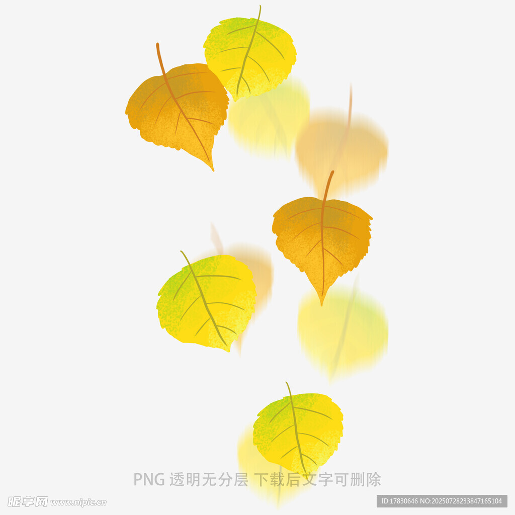 飘落的金黄秋叶