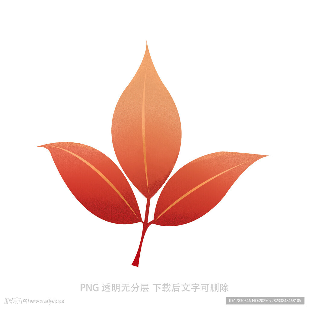 橙红色三叶矢量插画