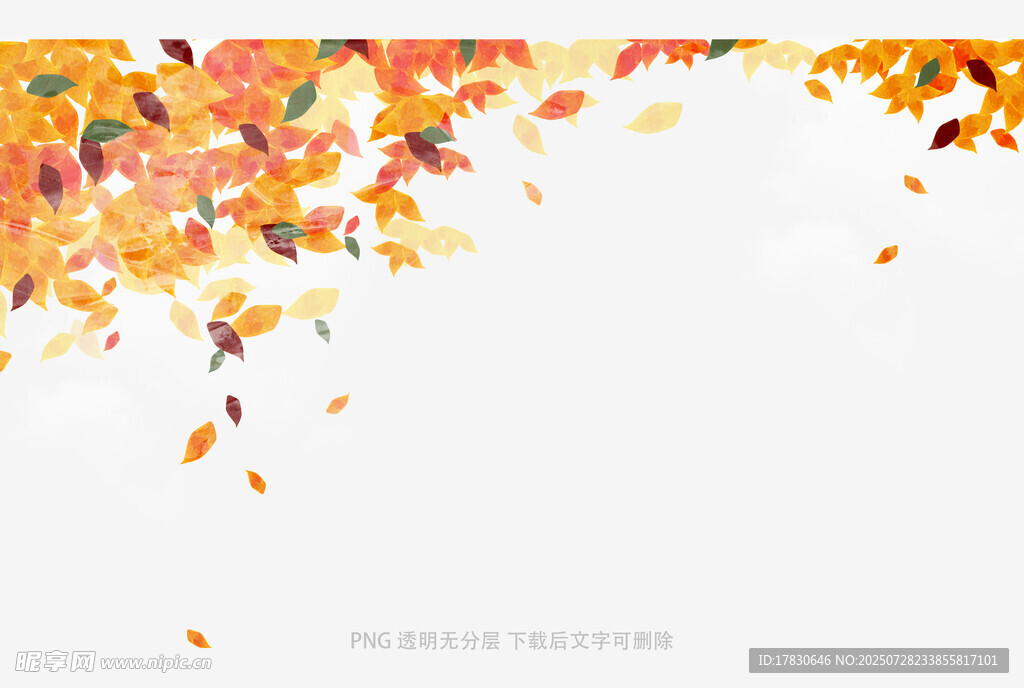 秋日飘落的缤纷树叶
