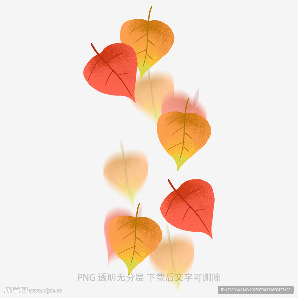 飘落的多彩秋叶