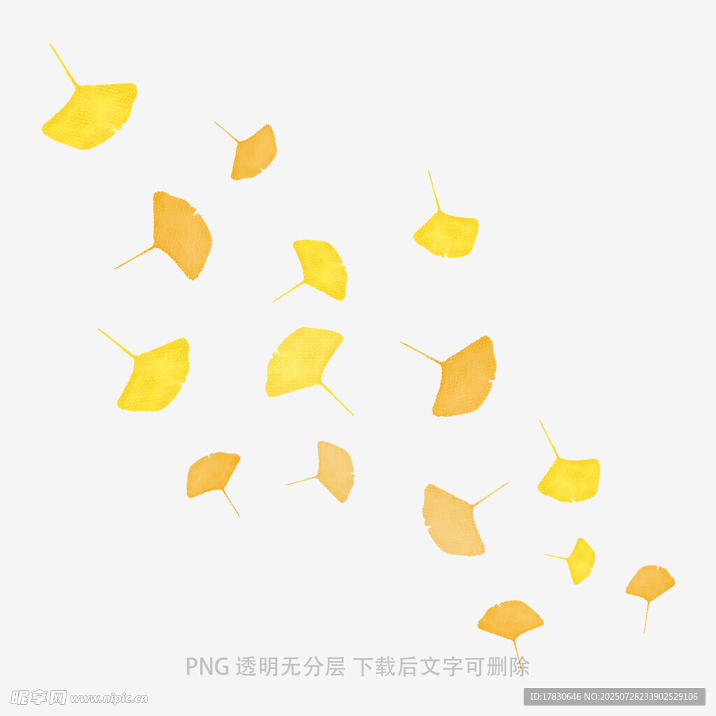 飘落的银杏叶