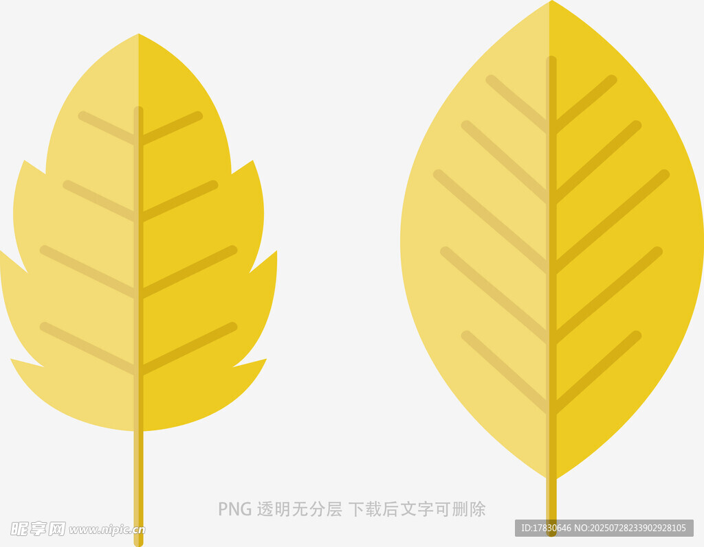 两片黄色叶片插画
