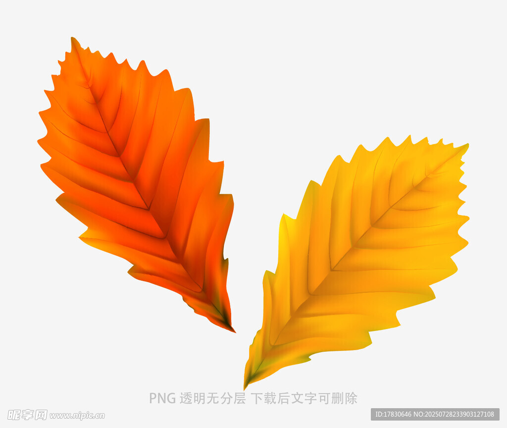 两片秋叶