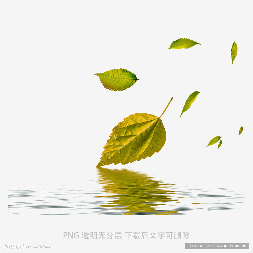 落叶入水泛起涟漪